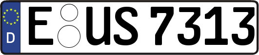 E-US7313