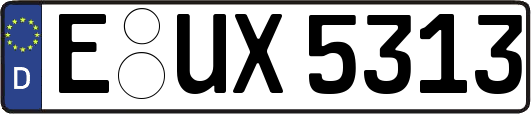 E-UX5313