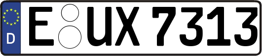 E-UX7313