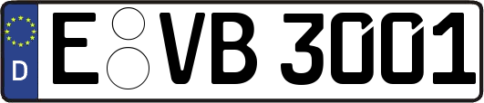E-VB3001