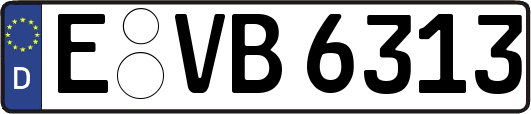 E-VB6313
