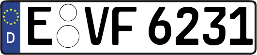 E-VF6231