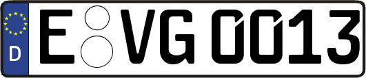 E-VG0013