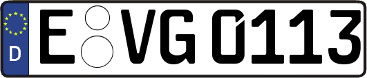 E-VG0113