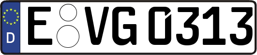 E-VG0313