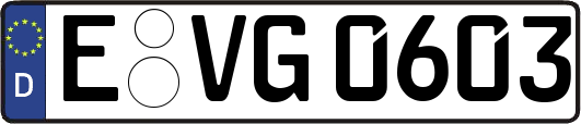 E-VG0603