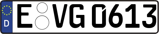 E-VG0613