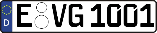 E-VG1001