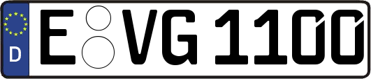 E-VG1100