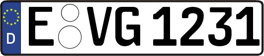 E-VG1231
