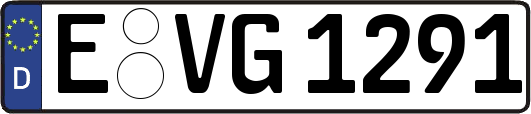 E-VG1291