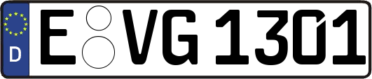 E-VG1301