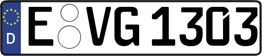 E-VG1303