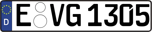 E-VG1305