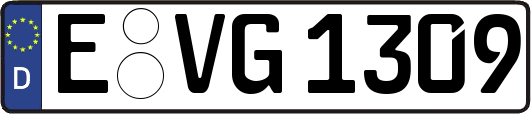E-VG1309