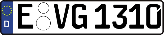 E-VG1310