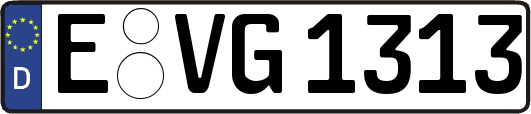 E-VG1313