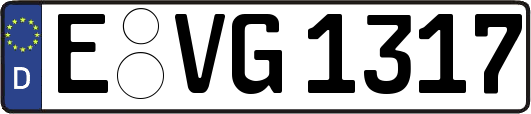 E-VG1317