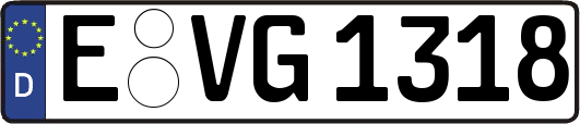 E-VG1318