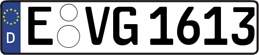 E-VG1613