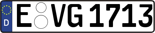 E-VG1713