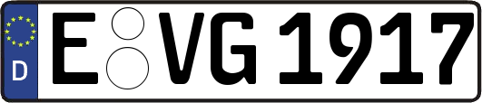 E-VG1917