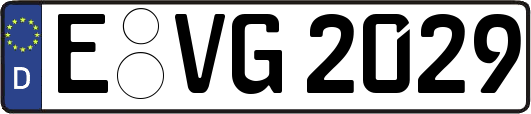 E-VG2029