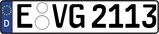E-VG2113
