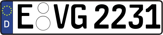 E-VG2231