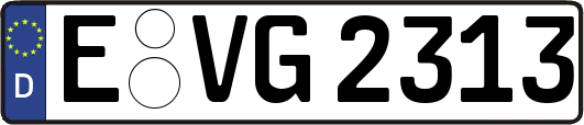 E-VG2313