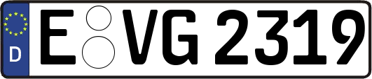 E-VG2319