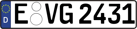 E-VG2431