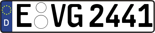 E-VG2441