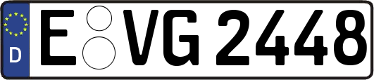 E-VG2448