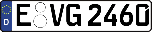E-VG2460