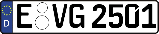E-VG2501