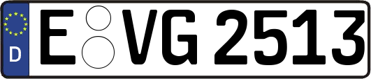 E-VG2513