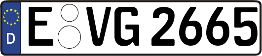 E-VG2665