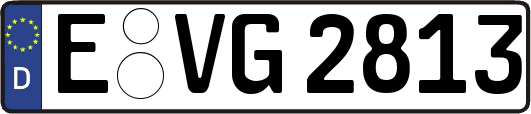 E-VG2813