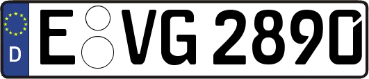 E-VG2890