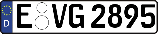 E-VG2895