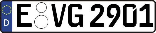 E-VG2901