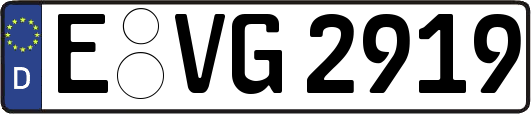 E-VG2919