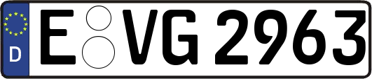E-VG2963