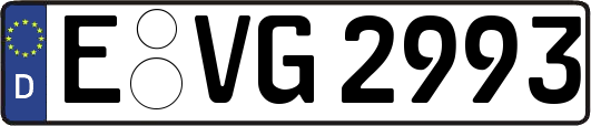 E-VG2993