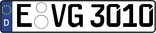 E-VG3010