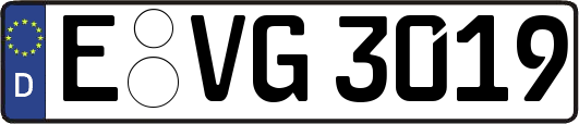 E-VG3019