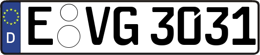 E-VG3031