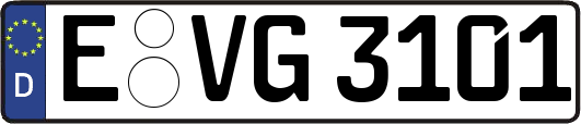 E-VG3101