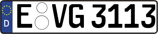 E-VG3113